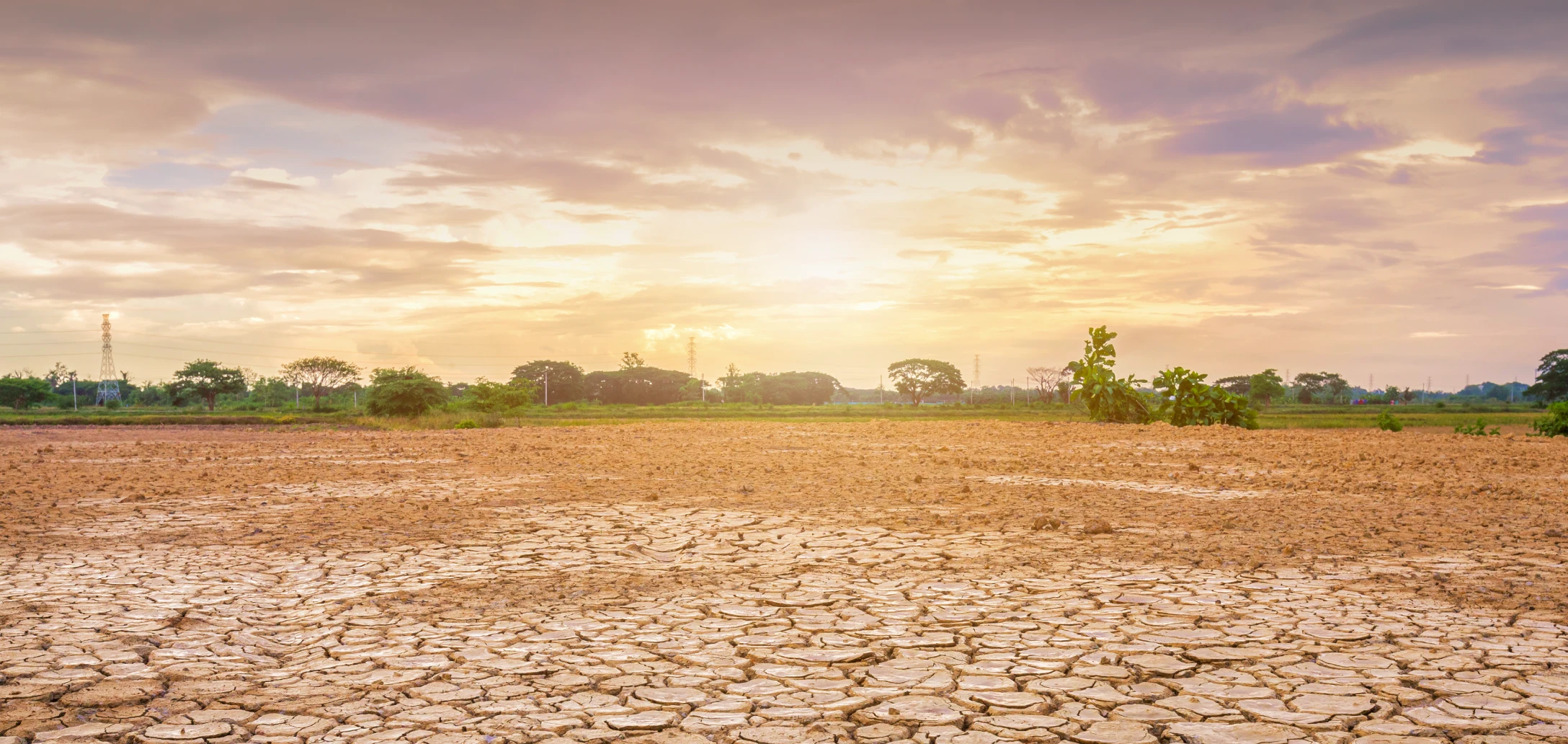 el-nino-diprediksi-memengaruhi-cuaca-indonesia-apa-dampaknya-bagi-pertanian