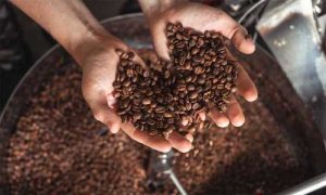 cara-membuat-kopi-yang-sempurna-di-rumah-tips-dan-trik-dari-barista-profesional