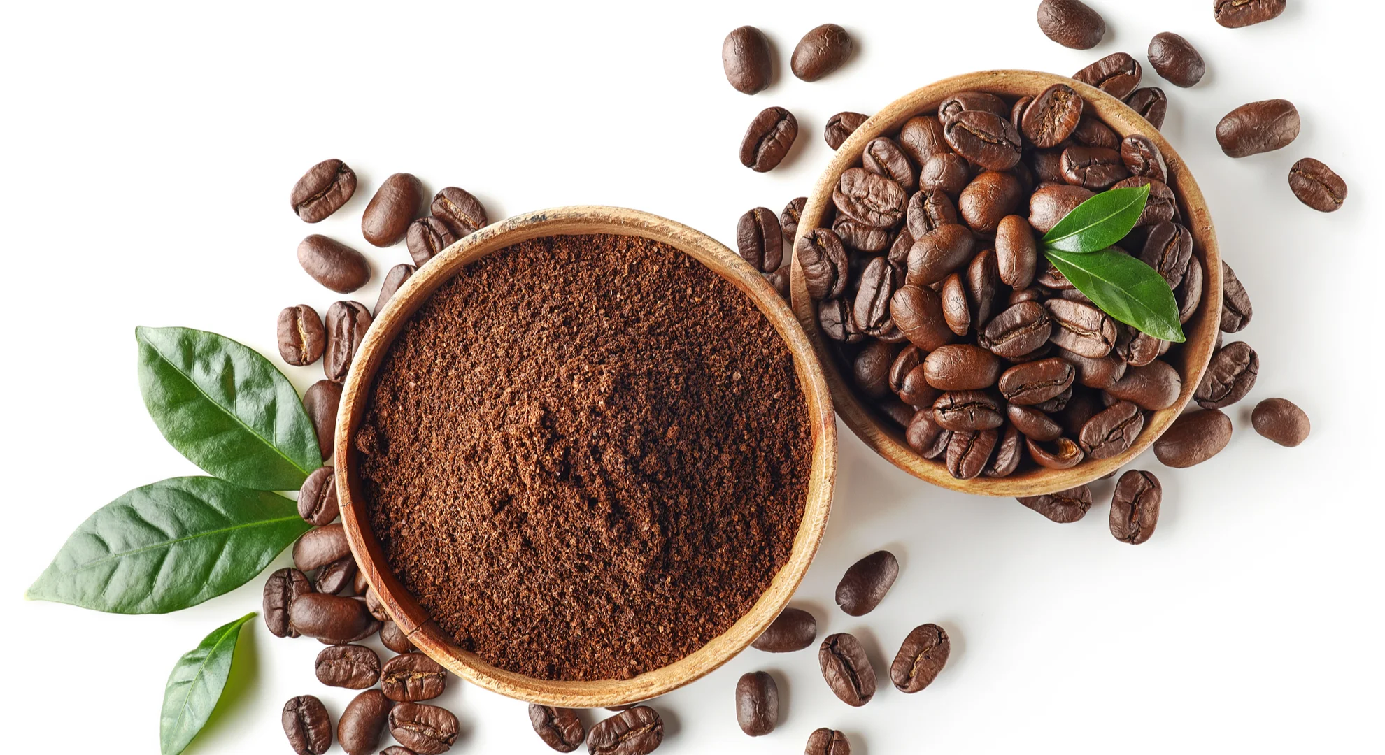 jenis-jenis-kopi-terbaik-di-dunia-dan-cara-menikmatinya