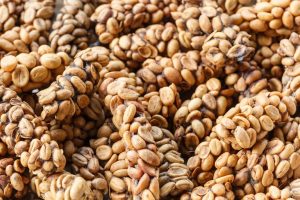 jenis-jenis-kopi-terbaik-di-dunia-dan-cara-menikmatinya