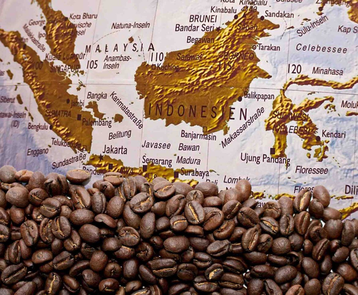 menelusuri-sejarah-kopi-dari-penemuan-hingga-popularitas-global