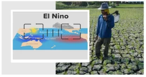el-nino-diprediksi-memengaruhi-cuaca-indonesia-apa-dampaknya-bagi-pertanian