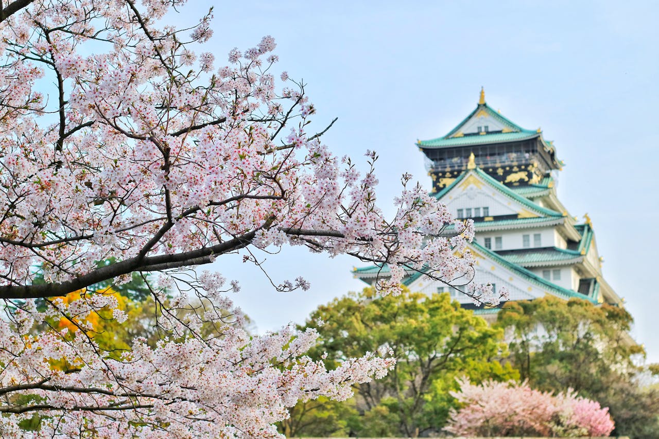 mengapa-hanami-sangat-penting-dalam-budaya-jepang